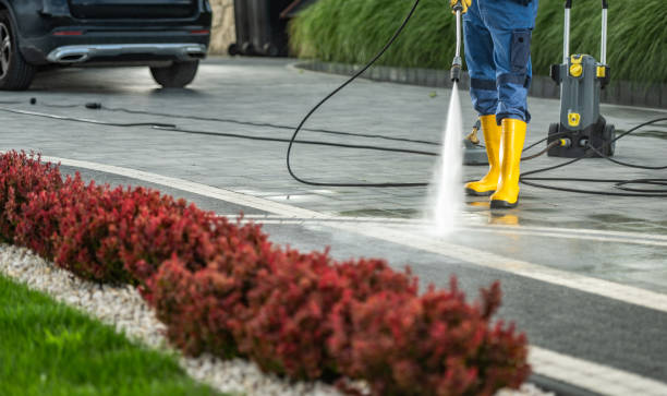 Best Driveway Pressure Washing  in Westwood Shores, TX
